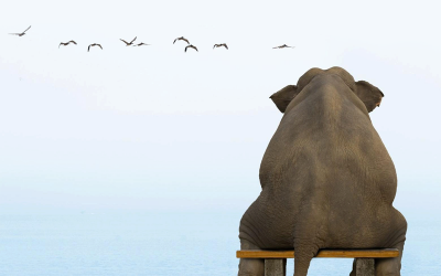 Parceria Instinto Coletivo (reflexão)